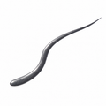 So Fierce! Chrome Ink Liquid Eyeliner